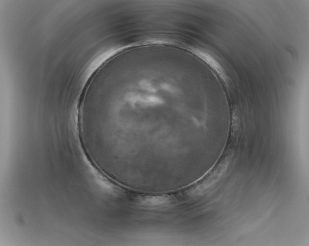 X0000115661047200911121209