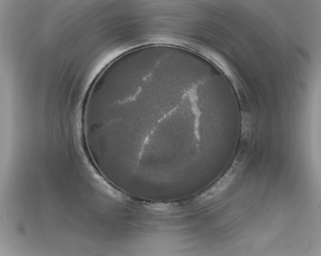 X0000115661048200911121209