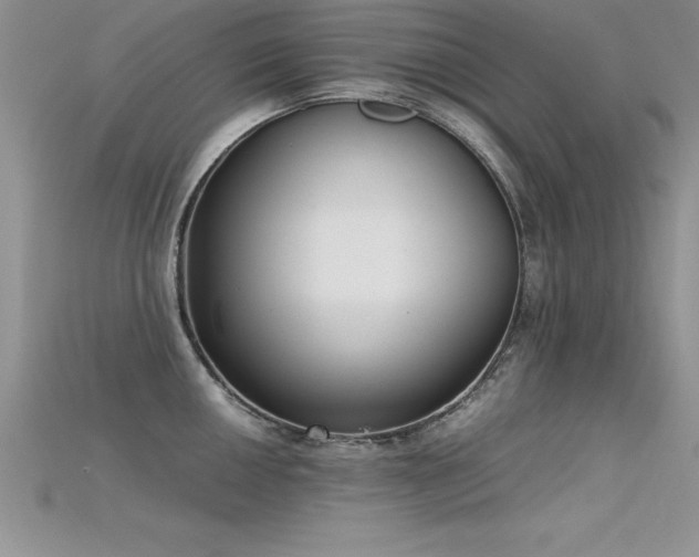 X0000115661050200911121209