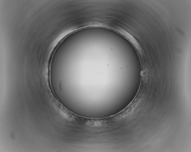 X0000115661051200911121209