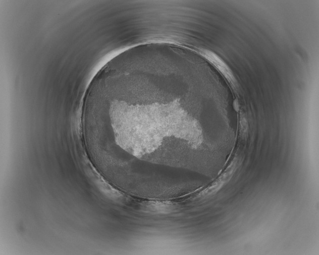 X0000115661052200911121209