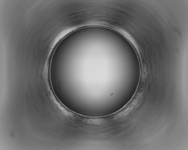 X0000115661053200911121209