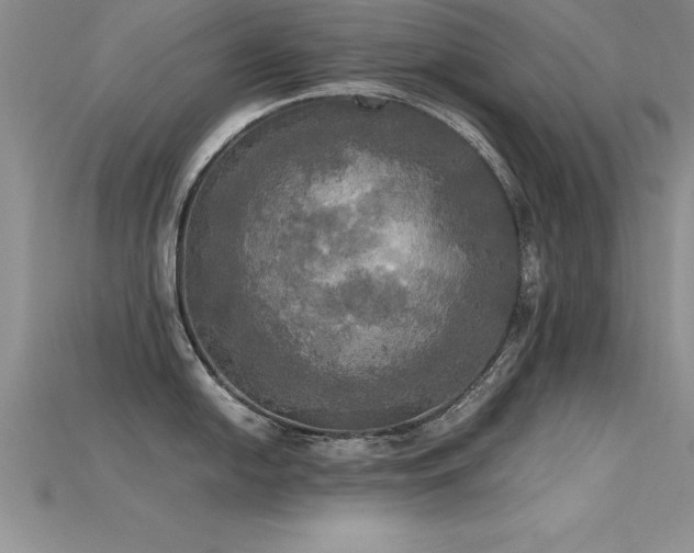 X0000115661054200911121209