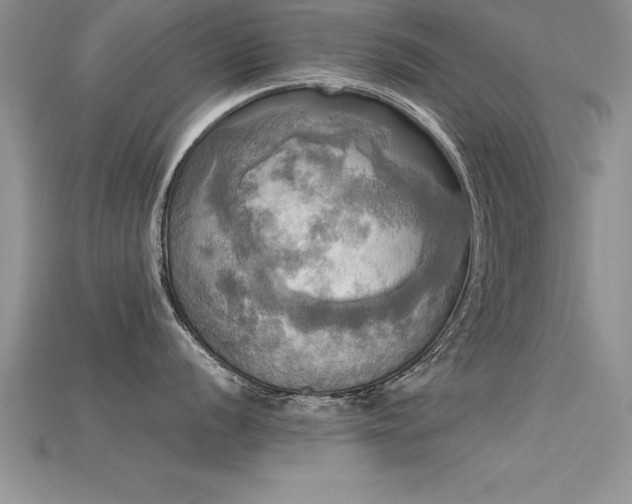 X0000115661056200911121209