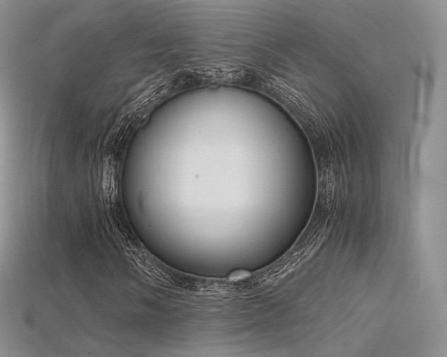 X0000115661058200911121209