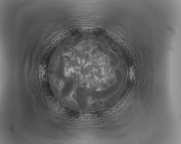 X0000115661059200911121209