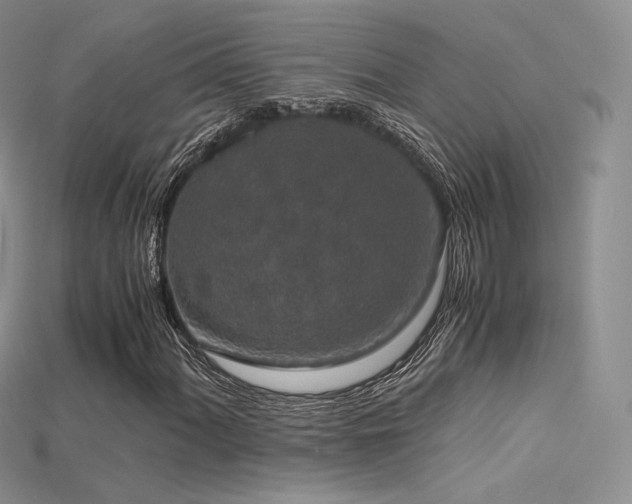 X0000115661060200911121209
