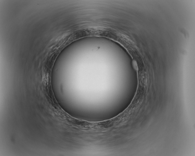 X0000115661061200911121209