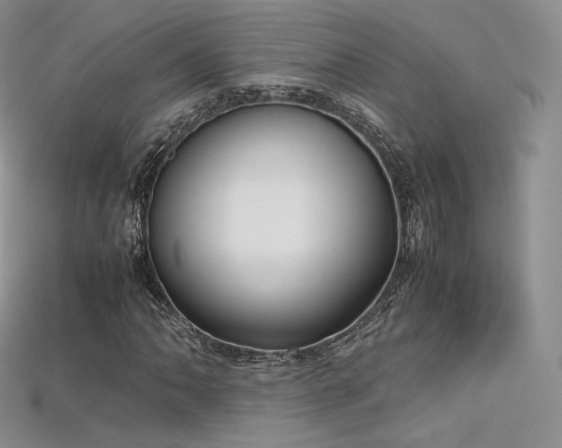 X0000115661062200911121209