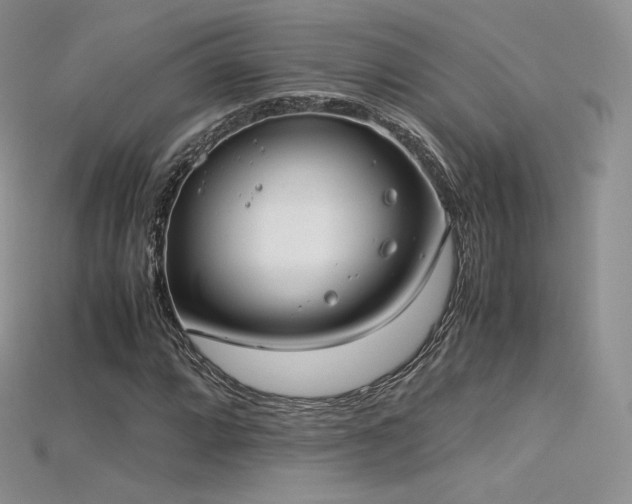 X0000115661064200911121209