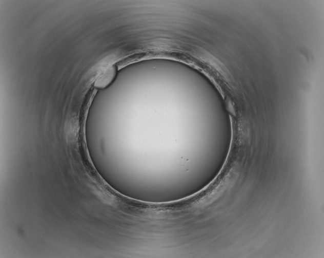X0000115661065200911121209