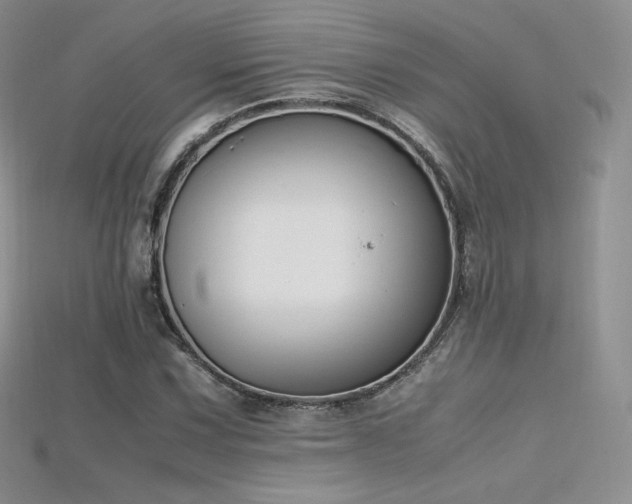 X0000115661067200911121209
