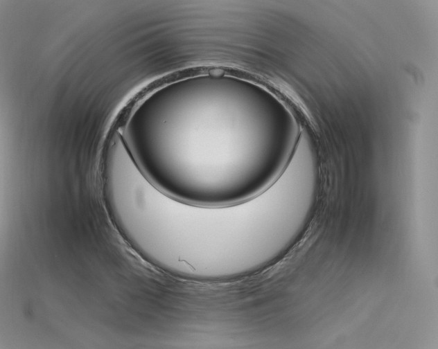 X0000115661068200911121209