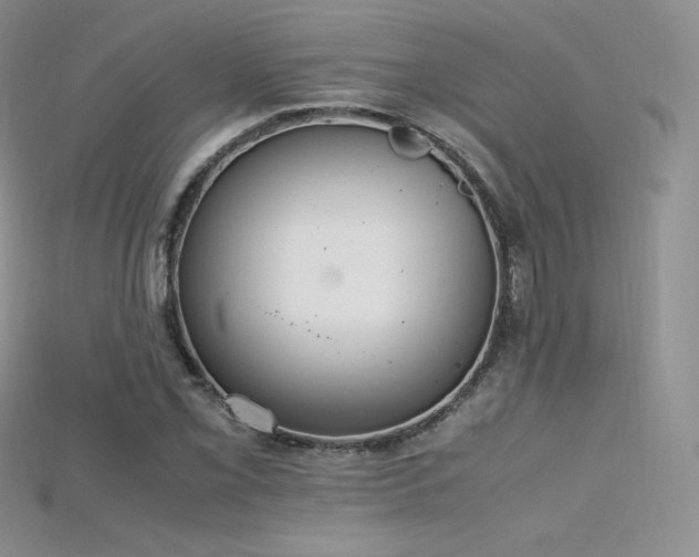 X0000115661069200911121209