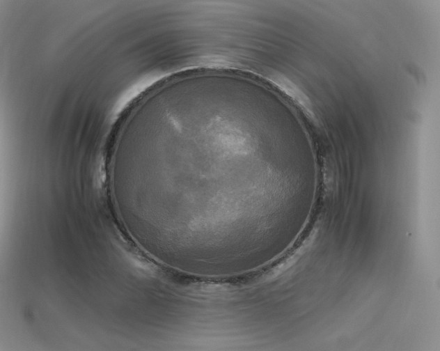X0000115661070200911121209