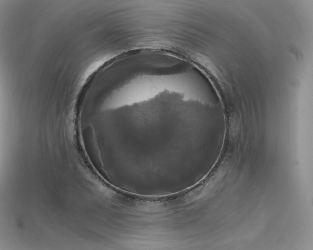 X0000115661071200911121209