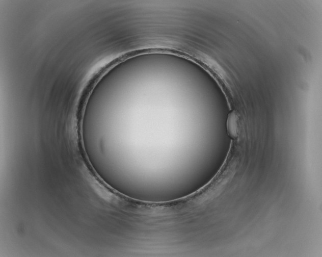 X0000115661072200911121209