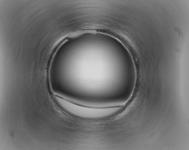X0000115661073200911121209
