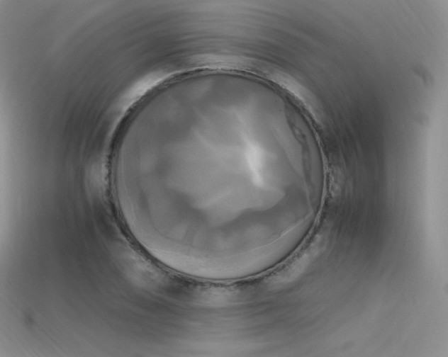 X0000115661074200911121209