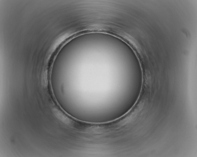X0000115661075200911121209