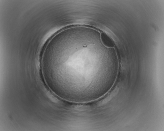 X0000115661077200911121209