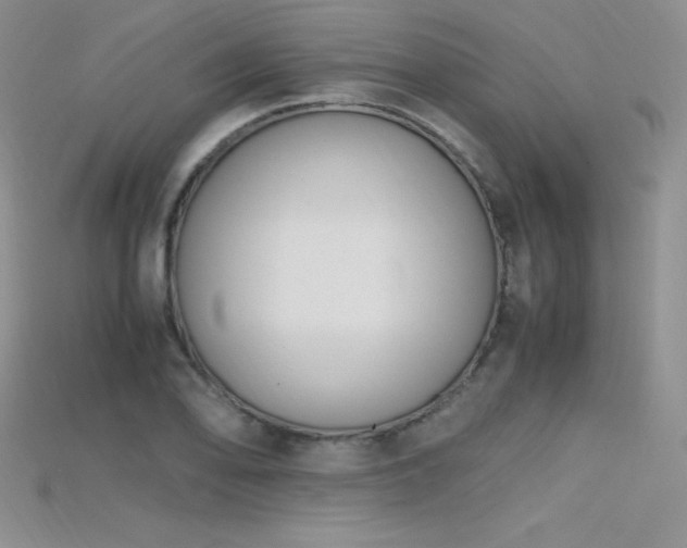 X0000115661078200911121209