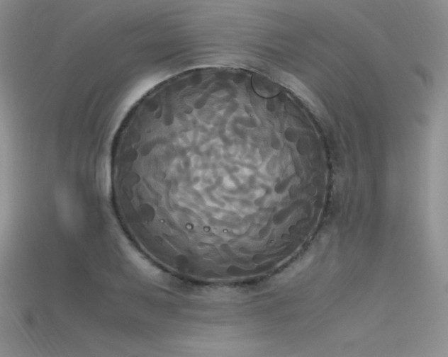 X0000115661079200911121209