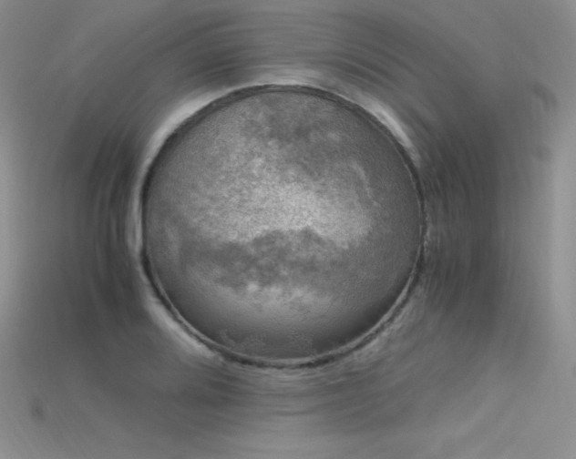 X0000115661080200911121209