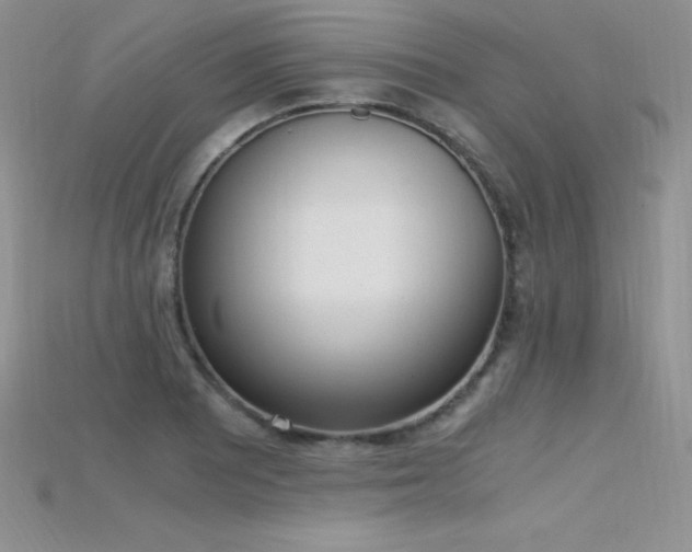 X0000115661081200911121209