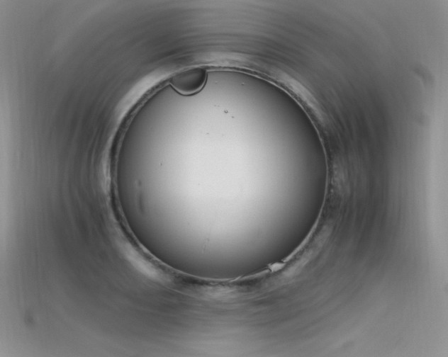 X0000115661082200911121209