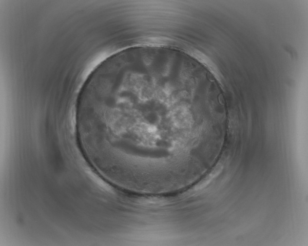X0000115661083200911121209