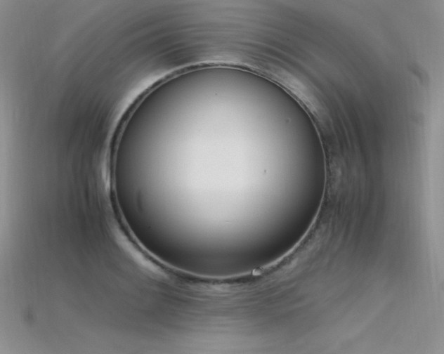 X0000115661084200911121209