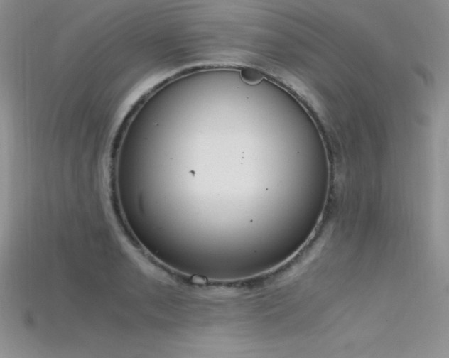 X0000115661085200911121209