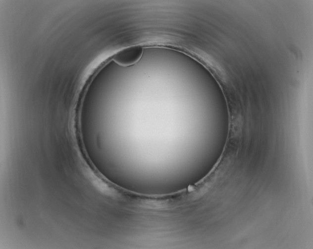 X0000115661086200911121209