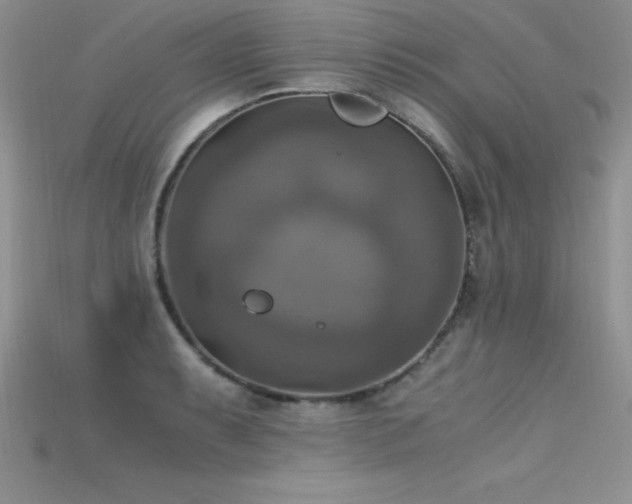 X0000115661087200911121208