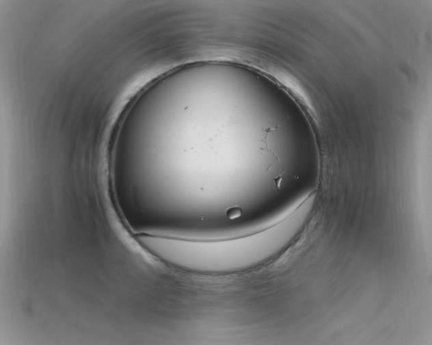 X0000115661088200911121208