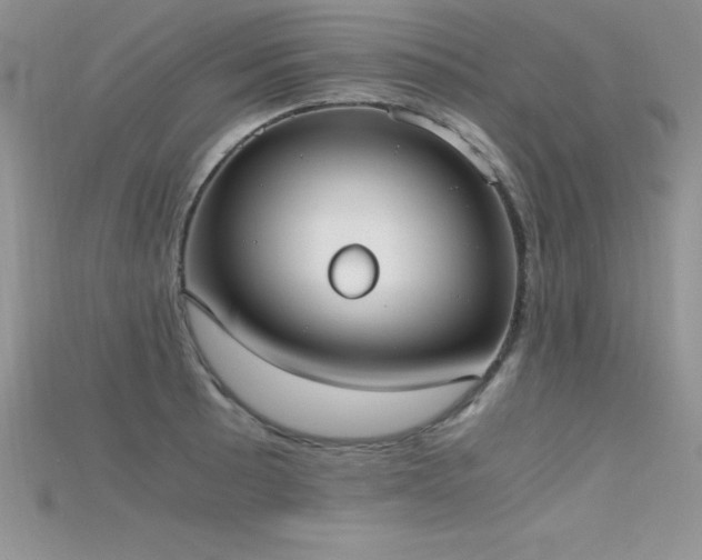 X0000115661089200911121208