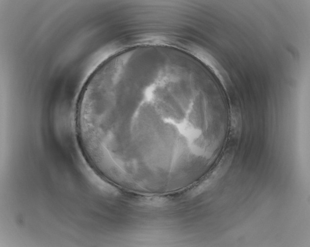 X0000115661090200911121208