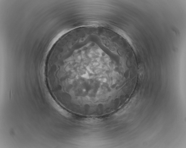X0000115661091200911121208