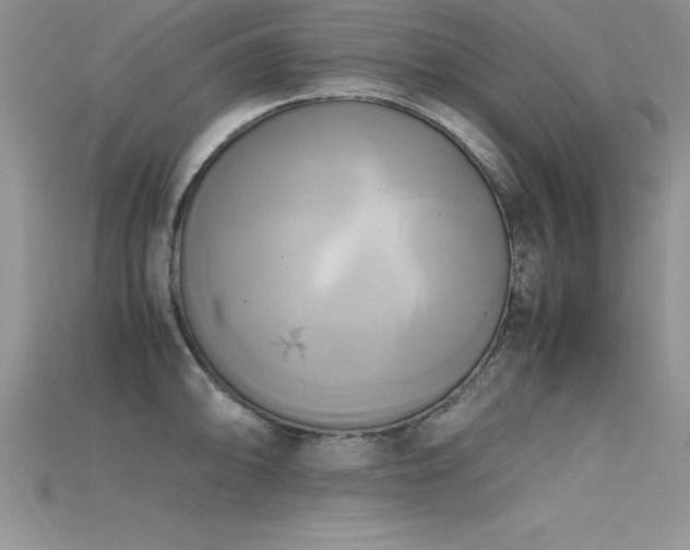 X0000115661094200911121208