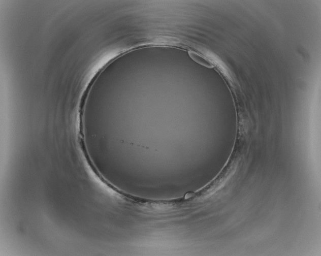 X0000115661095200911121208