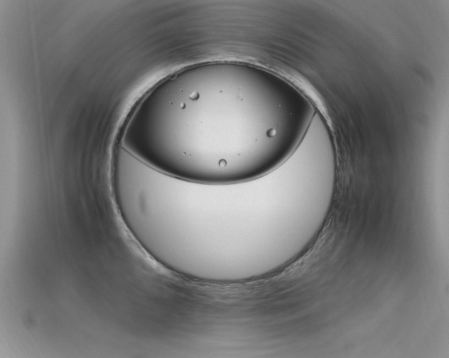 X0000115661096200911121208