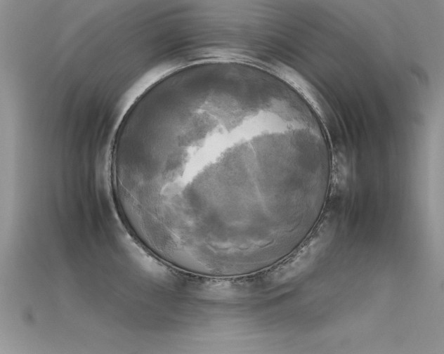 X0000115661098200911121208