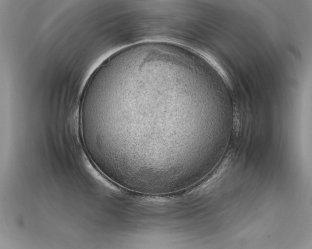X0000115661100200911121208
