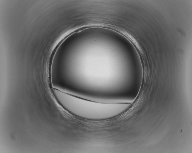 X0000115661101200911121208