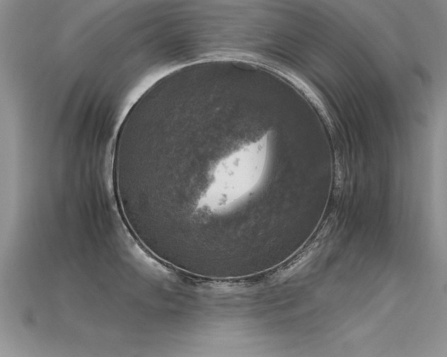 X0000115661102200911121208