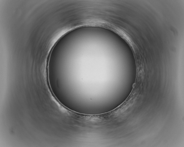 X0000115661103200911121208