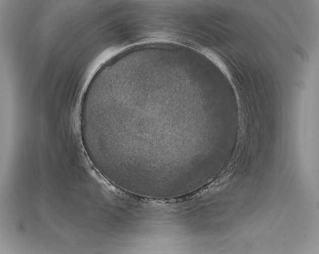 X0000115661104200911121208