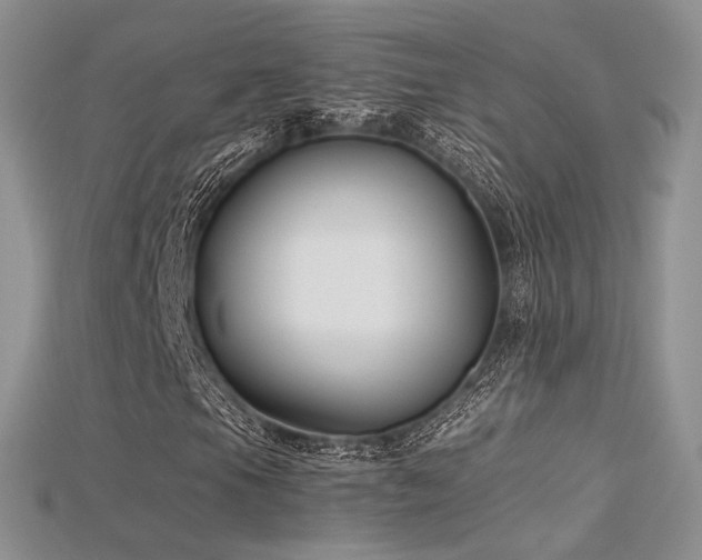 X0000115661105200911121208