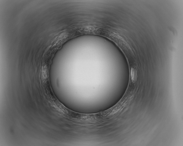 X0000115661107200911121208